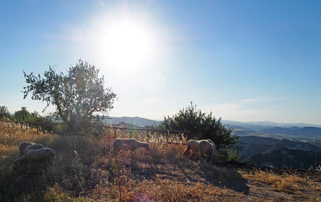 Il Belvedere Civita Buitenkant foto