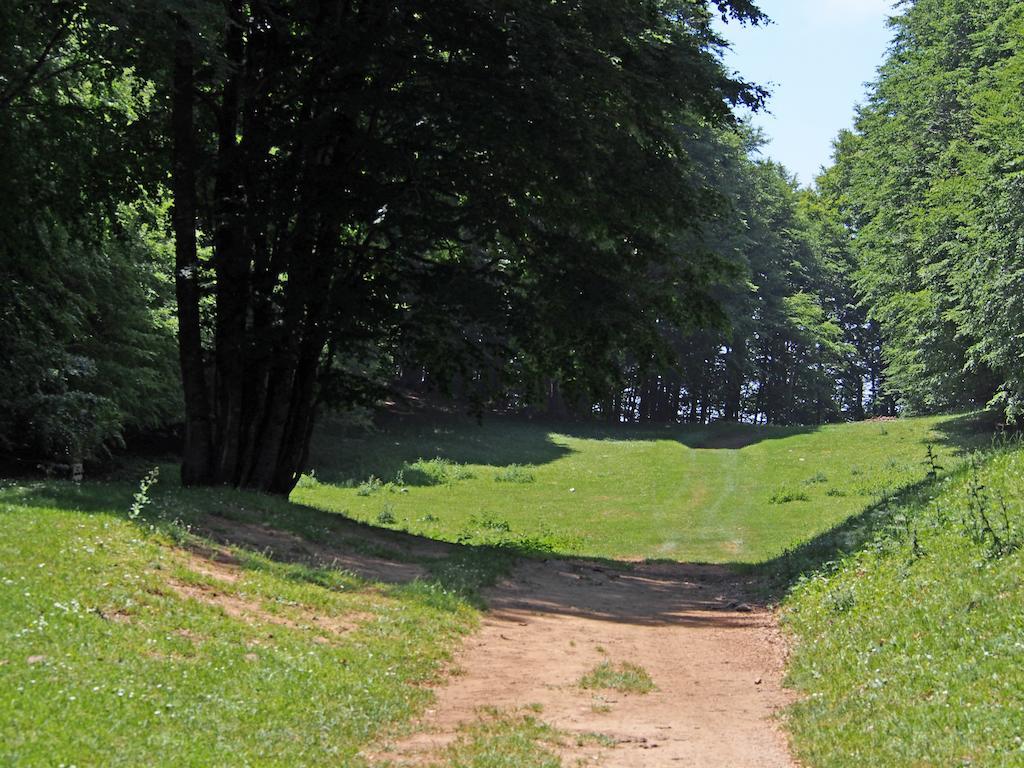 Il Belvedere Civita Buitenkant foto