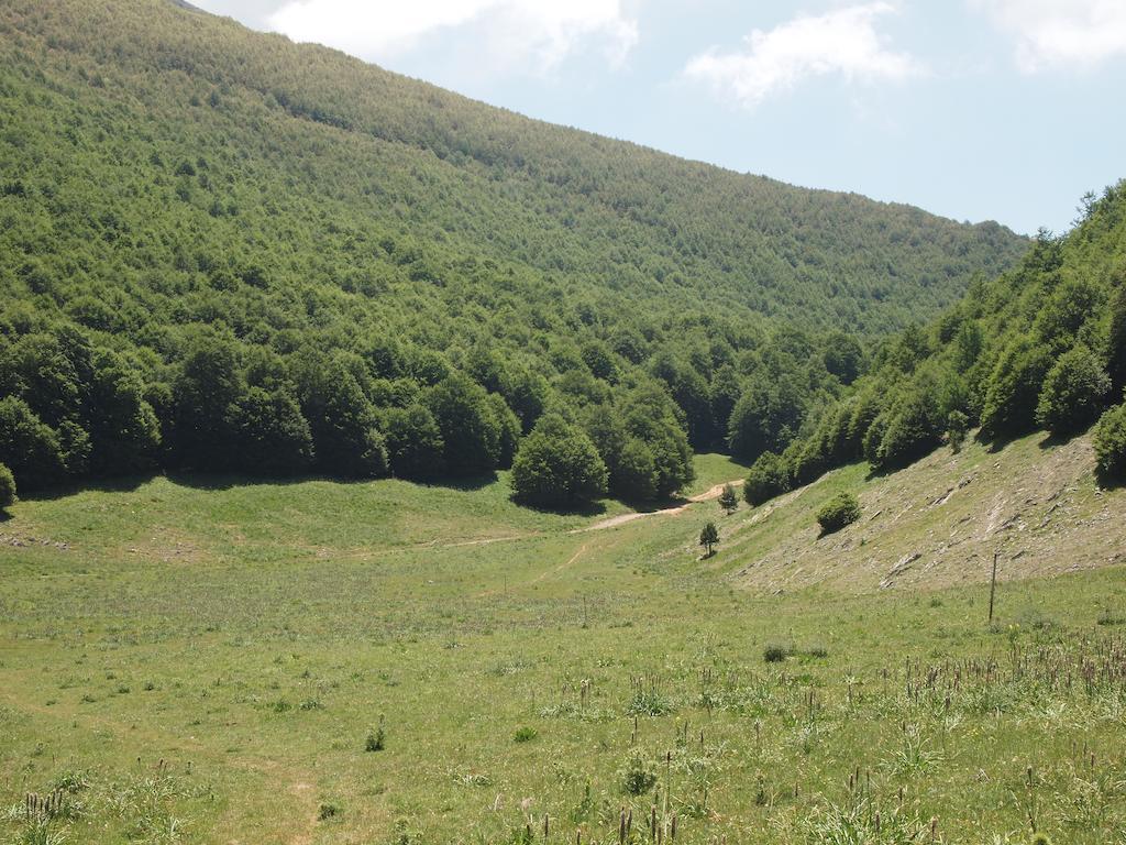 Il Belvedere Civita Buitenkant foto